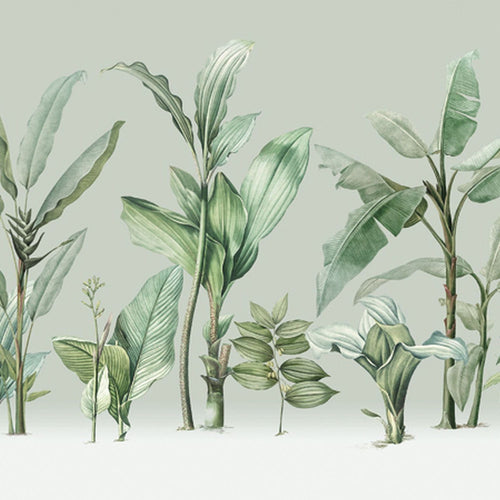 Sanders & Sanders fotobehang palmbladeren groen - 424 x 280 cm - 640917