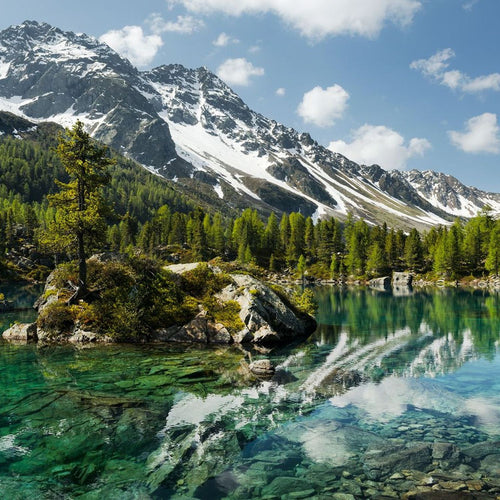 Sanders & Sanders fotobehang berglandschap met bomen groen en blauw - 450 x 280 cm - 612608