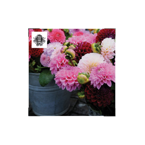 Art for the Home Buitencanvas - Dahlia - 50x50cm