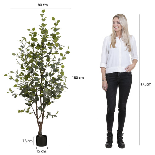 Mica Decorations Kunstplant Eucalyptusboom in Pot - H180 x Ø80 cm - Groen