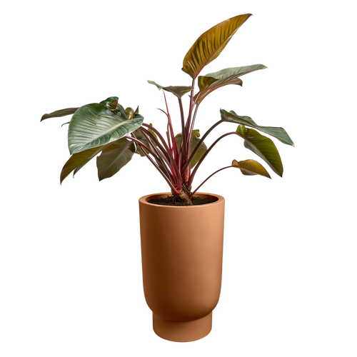 elho amber grail high 47 karamel | planter | Geschikt voor binnen en buiten