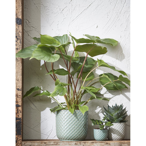 Mica Decorations Daan Bloempot - H18 x Ø19 cm - Groen