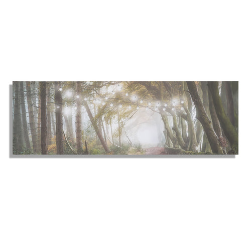 Art for the Home Canvas LED - Boswandeling - 30x90cm - vtwonen shop