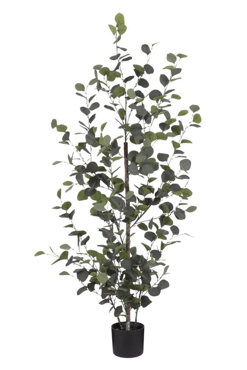 Mica Decorations Eucalyptus Kunstplant H150 x Ø30 cm - Kunstplant in Pot - Onderhoudsvrije Kamerplant voor Binnen - Natuurlijke Uitstraling -