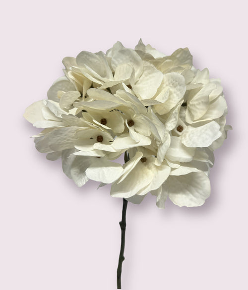 My Flowers.shop Witte hortensia zijden bloem | Lengte 63 centimeter | Per stuk - vtwonen shop