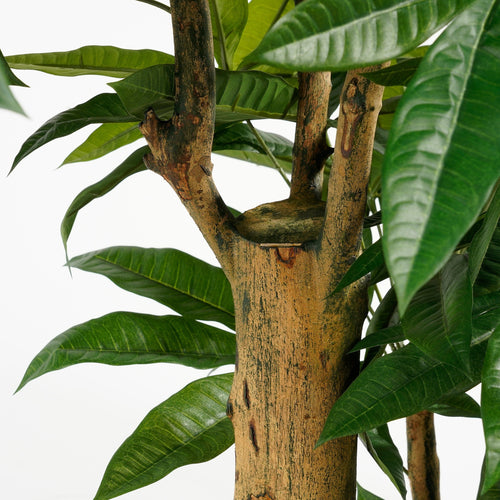 Mica Decorations  Pachira Kunstplant - H175 x Ø85 cm - Groen