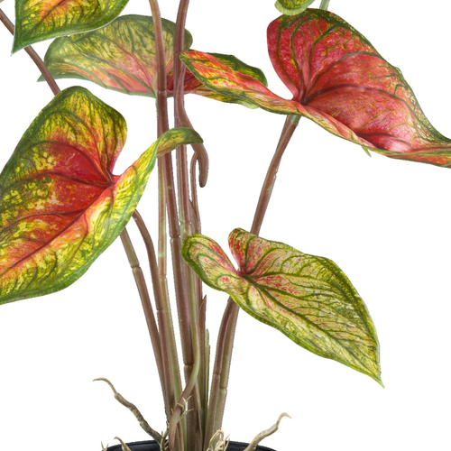 Flourify kunstplant - Caladium Red Flash - 55 cm
