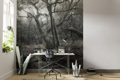 Sanders & Sanders fotobehang bos grijs - 250 x 280 cm - 612584