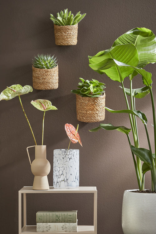 Mica Decorations Atlantic Hangende Bloempot - Set van 3 - H16 x Ø16 cm - Lichtbruin - vtwonen shop