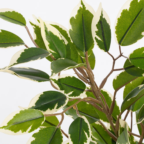 Mica Decorations Ficus Natasja Kunstplant in Bloempot Stan - H40 x Ø30 cm - Groen Bont