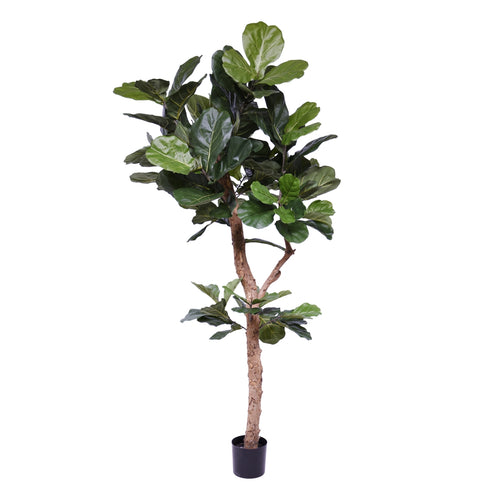 Maxifleur Lyrata Deluxe kunstboom Y stam 210cm
