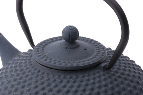 Bredemeijer - Theepot Xilin 0,8L gietijzer blauw - vtwonen shop