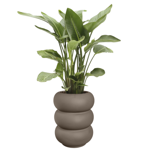 elho amber roll high 43 burnt umber | Bloempot |Premium statementdesign