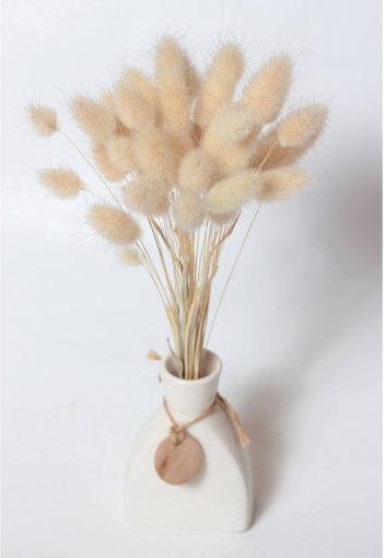 My Flowers.shop Naturel gedroogde baby Hazenstaartjes | Naturelle baby Lagurus Ovatus droogbloemen | Lengte ± 30 cm | Per bosje - vtwonen shop