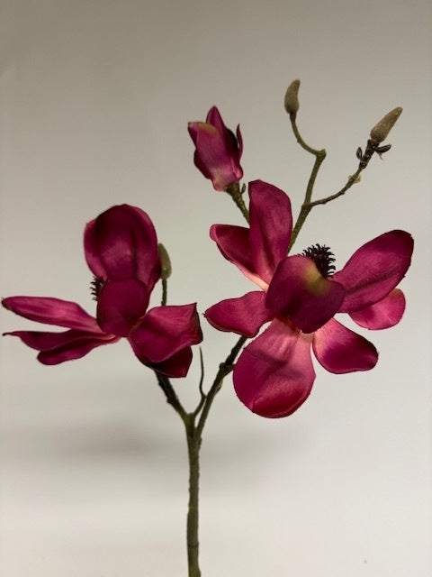 My Flowers.shop Fuchsiakleurige magnolia zijden bloem | Lengte 60 centimeter | Per stuk - vtwonen shop