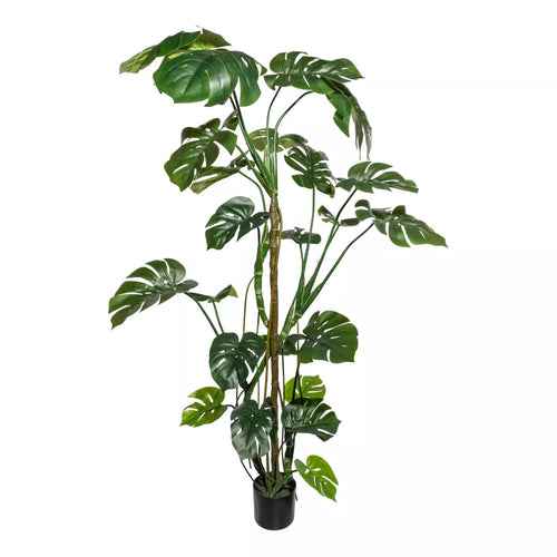 Flourify kunstplant - Splitphilodendron - 180 cm - vtwonen shop