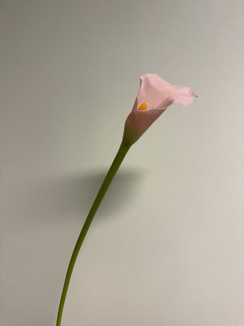 My Flowers.shop Roze calla zijden bloem | Lengte 50 centimeter | Per stuk - vtwonen shop