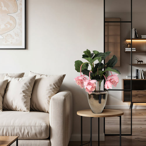 Maxifleur Medinella kunstplant 65cm Deluxe