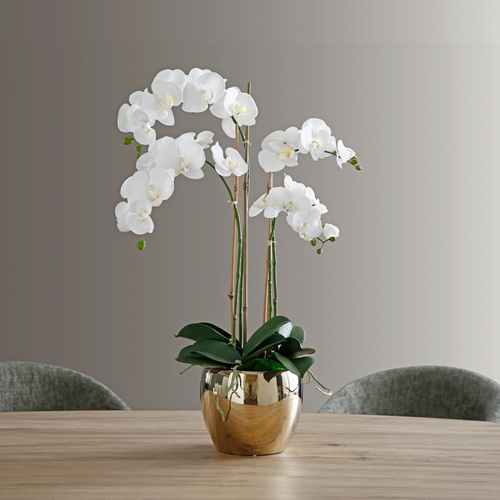 Sia Deco Orchidee Compositie Met Vaas - wit - goud - H79 - vtwonen shop