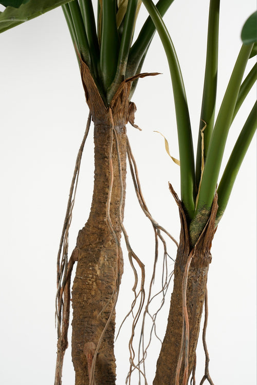 Mica Decorations Philodendron Kunstplant - H140 x Ø110 cm - Groen