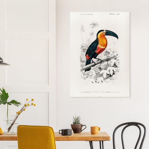 Artfulprints Poster Charles Dessalines d'Orbigny - Toucan (ramphastos)   - 30x40 cm - Oranje