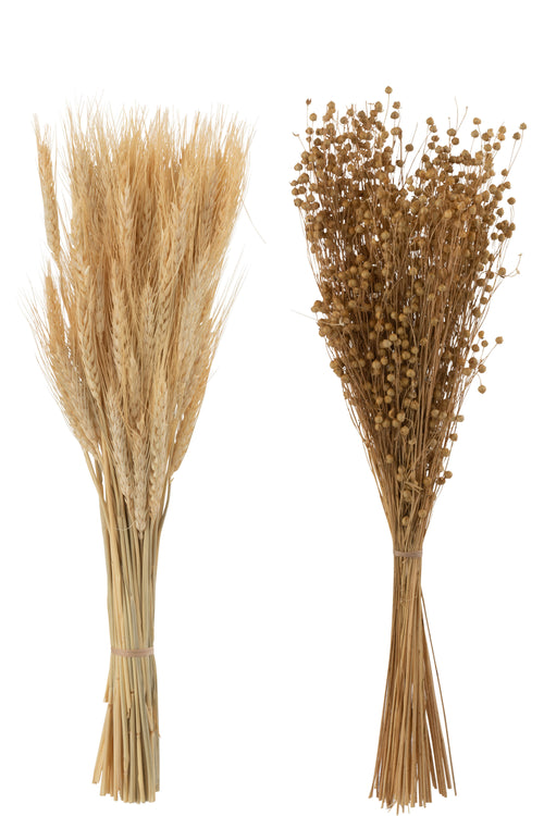 J-Line droogbloemen - Bundel gedroogde Vlas + Tarwe grass - naturel - 2 stuks - vtwonen shop