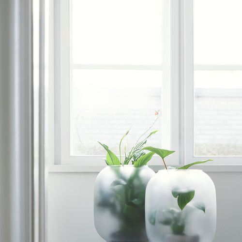 Gejst Vaas Glas