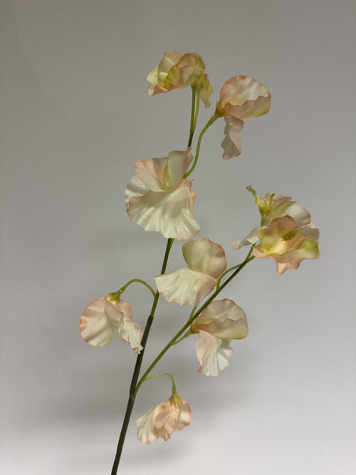 My Flowers.shop Lichtgele lathyrus zijden bloem | Lengte 58 centimeter | Per stuk - vtwonen shop