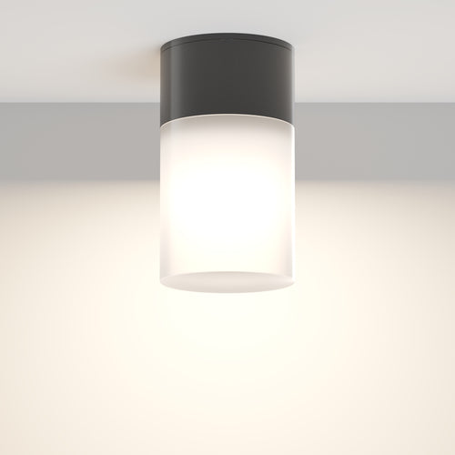 Maytoni Outdoor - Plafondlamp Willis - Zwart - Ø8 - vtwonen shop