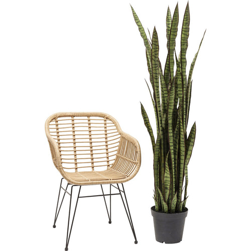 Kare Design Kunstplanten - Sansevieria - 155cm