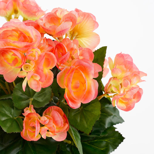 Mica Decorations Begonia Kunstplant in Bloempot Stan - H37 x Ø36 cm - Zalmroze