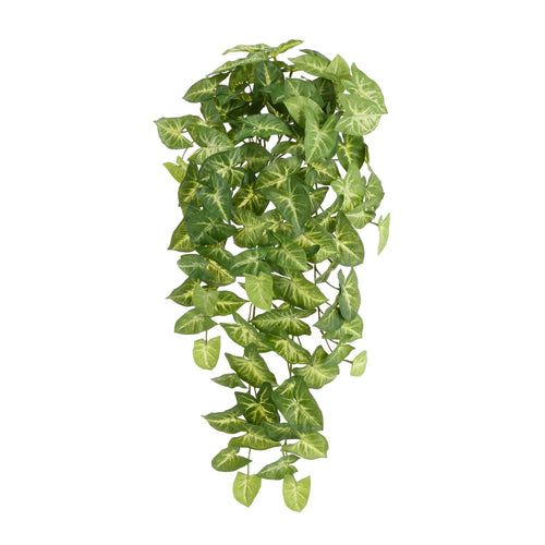 Maxifleur Syngonium Arrow Kunst Hangplant 60cm
