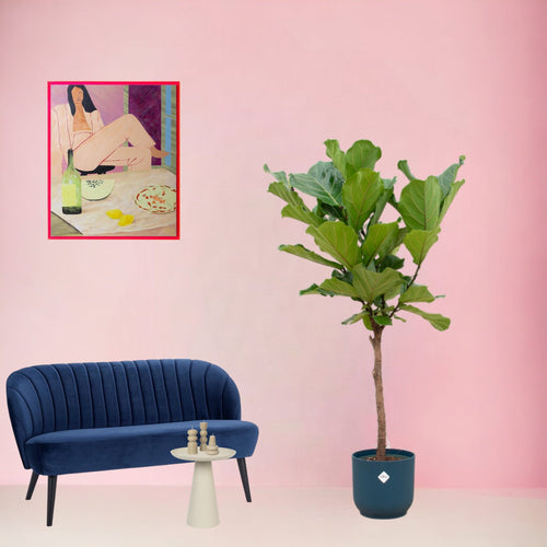 Trendyplants - Ficus Lyrata stam inclusief elho Vibes Fold Round blauw - 160 cm - Ø30cm - vtwonen shop