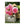 Art for the Home Buitencanvas - Dahlia - 50x50cm