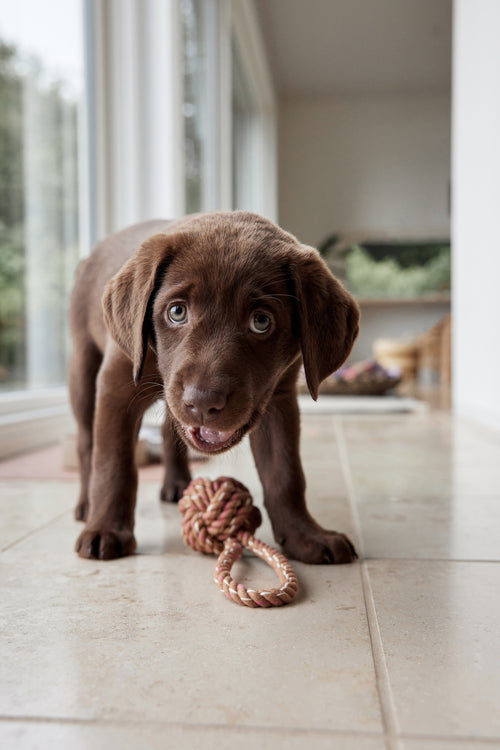 OYOY Speelgoed Otto - katoen - vtwonen shop