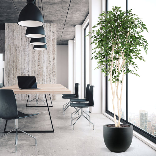 Maxifleur Kunst Berkenboom 250cm Deluxe