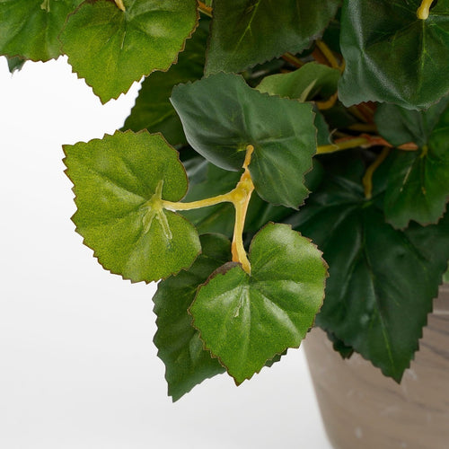 Mica Decorations Begonia Kunstplant in Bloempot Stan - H37 x Ø36 cm - Wit