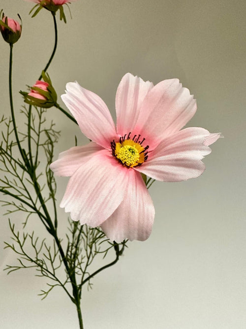 My Flowers.shop Roze cosmea zijden bloem | Lengte 90 centimeter | Per stuk - vtwonen shop