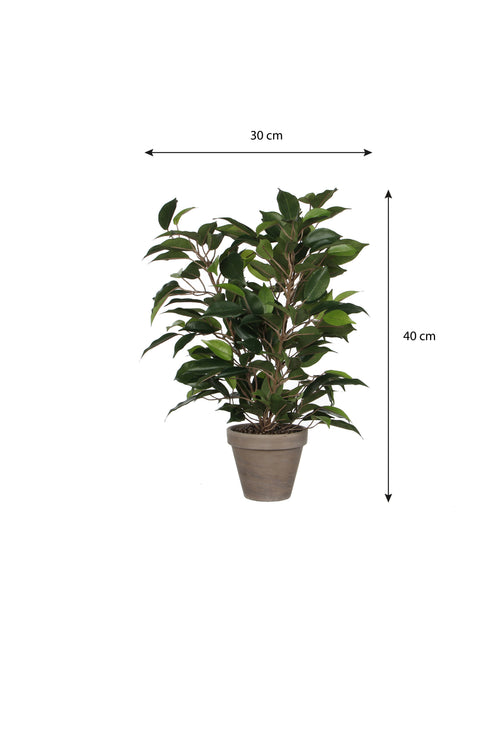 Mica Decorations Ficus Natasja Kunstplant in Bloempot Stan - H40 x Ø30 cm - Groen