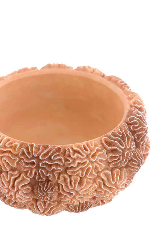 Light & Living deco box+deksel CORAL - Ø17x16cm - bruin