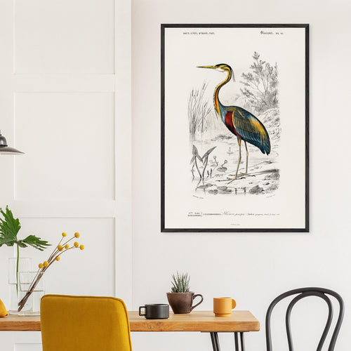 Artfulprints Poster Charles Dessalines d'Orbigny - Purple heron (Ardea purpurea)   - 30x40 cm - Meerkleurig