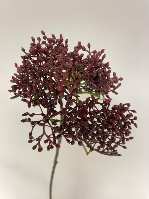 My Flowers.shop Bordeauxkleurige skimmia zijden bloem | Lengte 54 centimeter | Per stuk - vtwonen shop