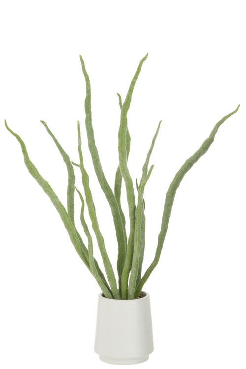 J-Line vetplant in pot - kunstmatig - groen