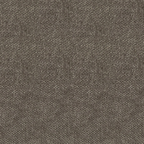 Calicosy - CAMERON Slaapbank - Beige - 102x207x84 cm