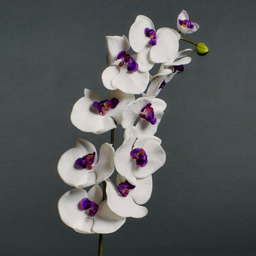 Sia Deco Kunstmatige Phalaenopsis Orchidee Stengel - Paars - H100 - vtwonen shop