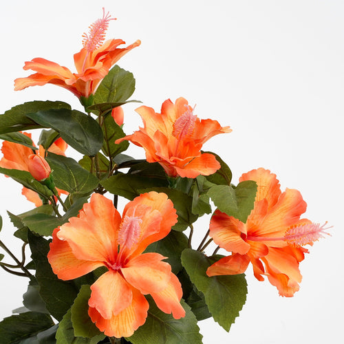 Mica Decorations Hibiscus Kunstplant in Bloempot Stan - H40 x Ø30 cm - Oranje