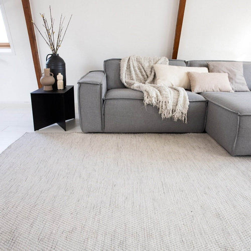 Interieur05 Vloerkleed Gerecycled Materiaal Ciro Beige/Wit op=op - 170 x 240 cm - vtwonen shop