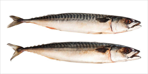 ESTAhome muursticker vissen grijs - 97 x 48.5 cm - 159040