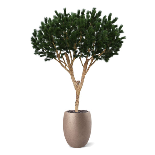 Maxifleur Pinus Umbrella XL Kunstboom Deluxe 260cm