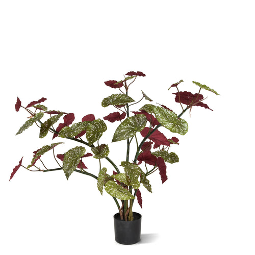 Maxifleur Begonia Maculata kunstplant 110cm